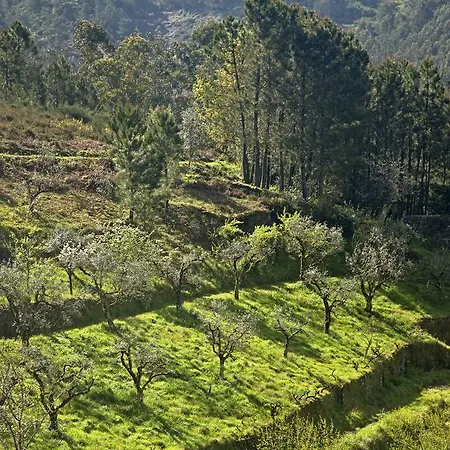 12 Meses Naturalmente Cerdeira (Arganil)