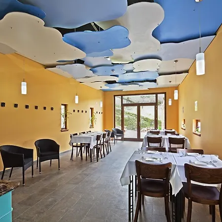 12 Meses Naturalmente *