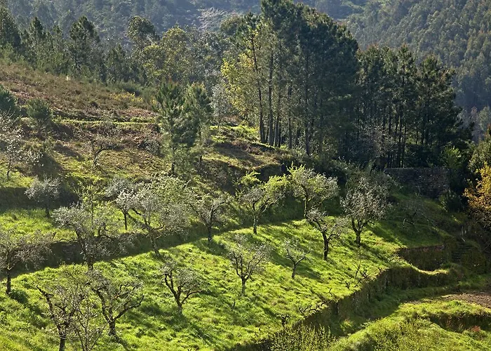 12 Meses Naturalmente Cerdeira