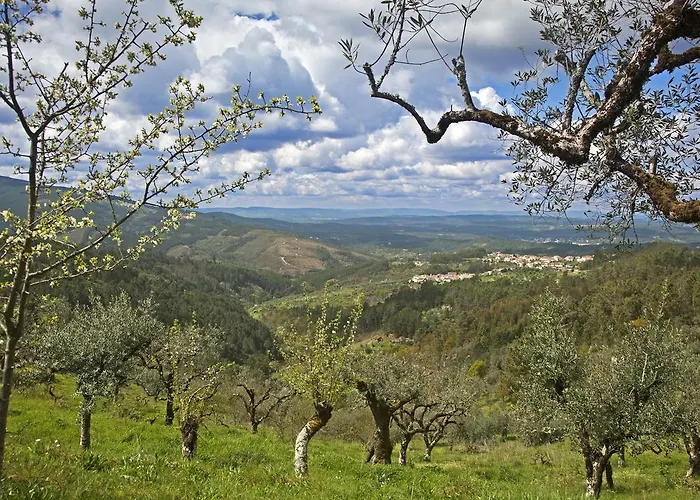 12 Meses Naturalmente