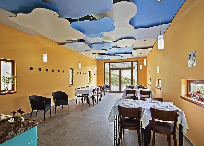 12 Meses Naturalmente *